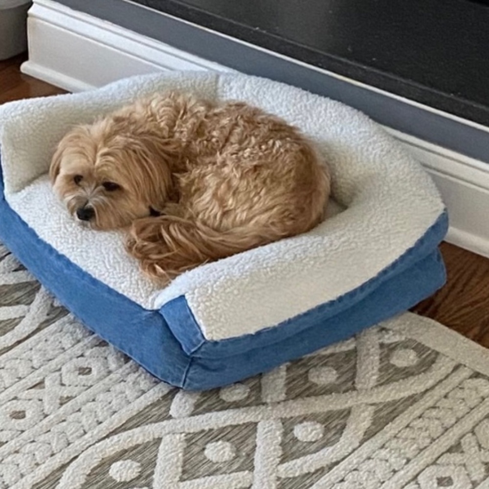 Levi Denim & Sherpa Dog Beds